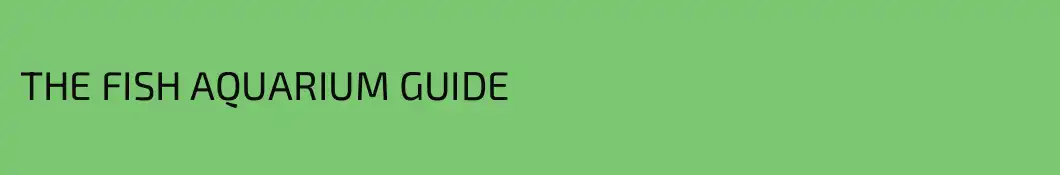 THE FISH AQUARIUM GUIDE